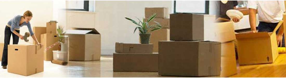 Packing Moving